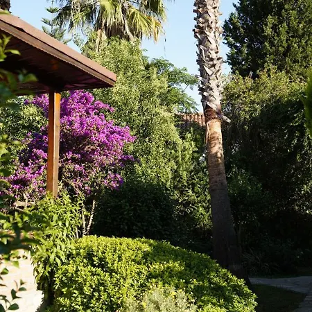 Otel Dalyan Yunus