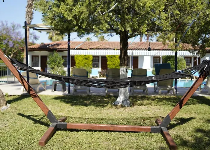 Dalyan Yunus