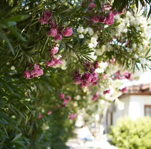 Dalyan Yunus 3* Mugla