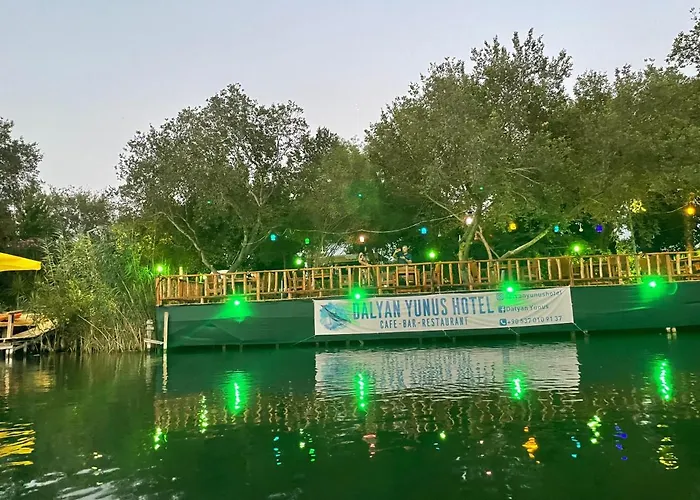 Dalyan Yunus
