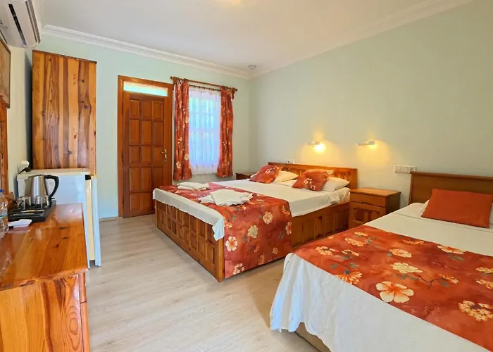 Dalyan Yunus 3*