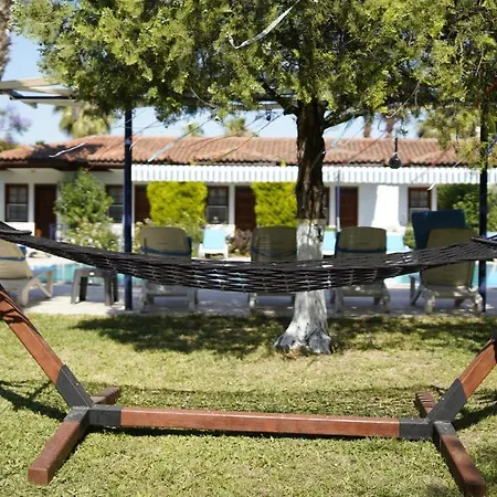 Dalyan Yunus