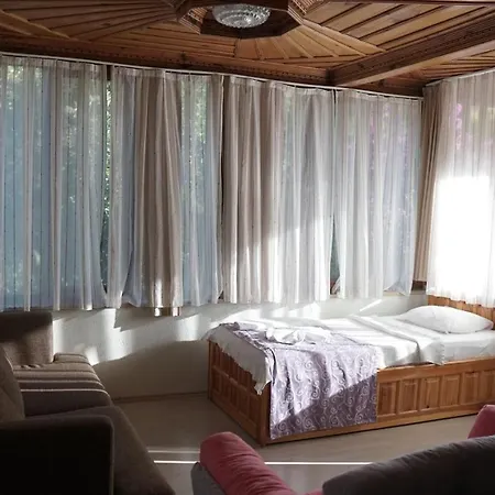 Dalyan Yunus Hotel *