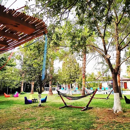 Dalyan Yunus Mugla
