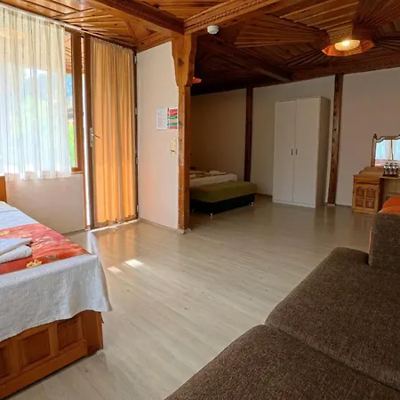 Dalyan Yunus موجلا