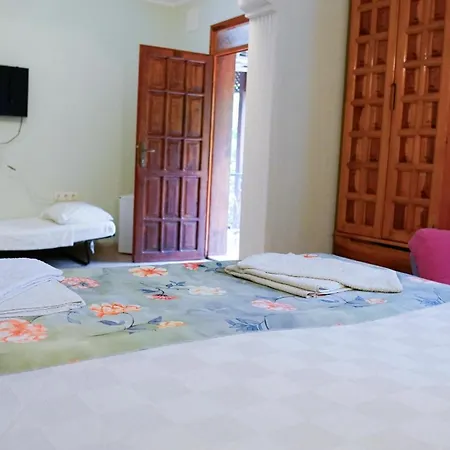 Dalyan Yunus موجلا