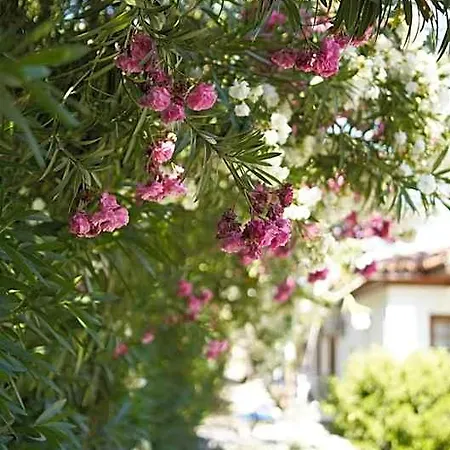 Hotel Yunus Dalyan